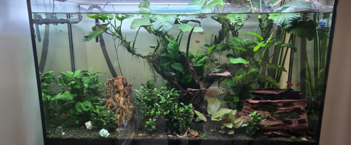 aquarium Aquatlantis , de jpanasonic