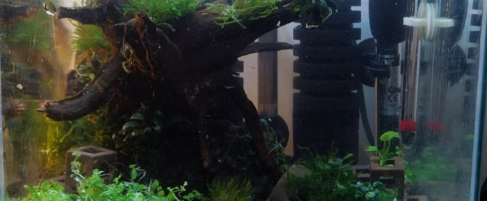 aquarium Le Monde de Toad , de Yoshi971