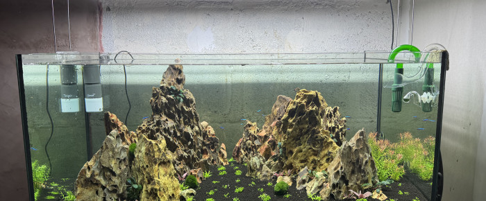 aquarium Ohko stone aquarium , de Rafael_78