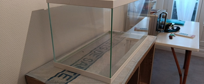 aquarium Nouveau bac de 60l , de james-zaug