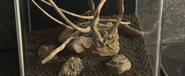 aquarium Nano nature , de Olivoliv