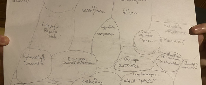 aquarium Futur projet lointain , de Emma1234