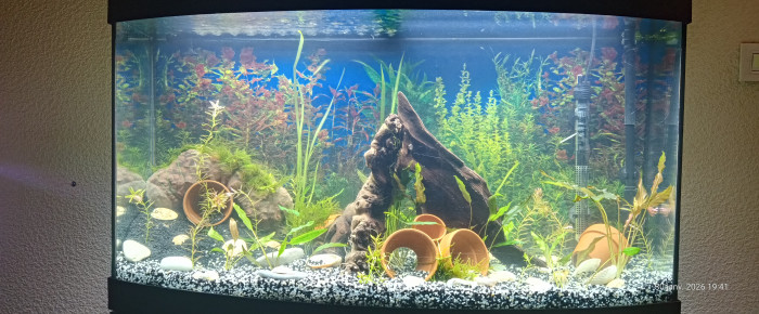 aquarium Vision 180 , de Ffarfadet