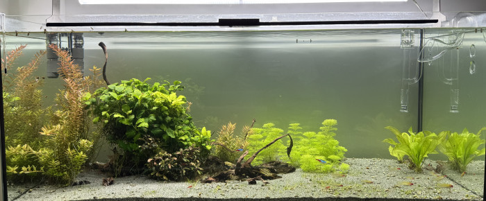 aquarium 300L , de Alexxis