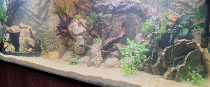 aquarium Le vivre ensemble , de Lafeeverte