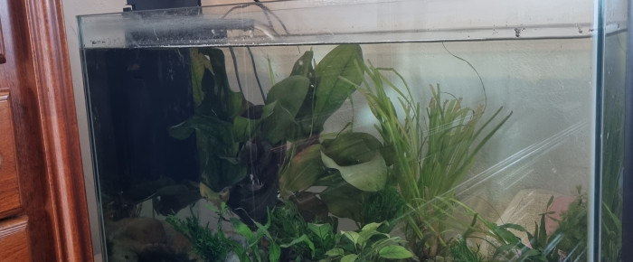 aquarium Margaret83 , de Margaret83