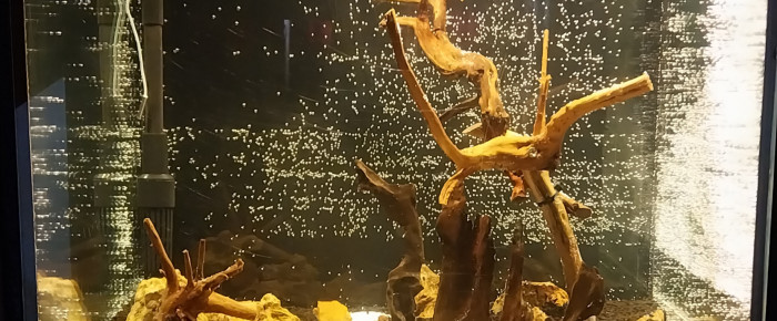 aquarium Bassine de 90L , de STK54