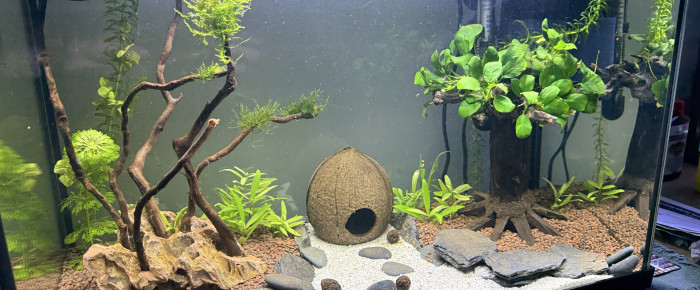 aquarium Mon 60 litres , de KBoo