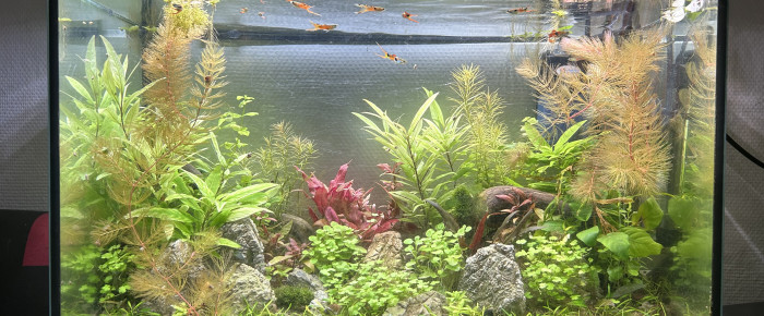 aquarium Projet 1 , de Cabernet