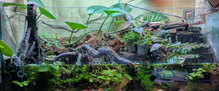 aquarium Paludarium , de ArtemusKlegg