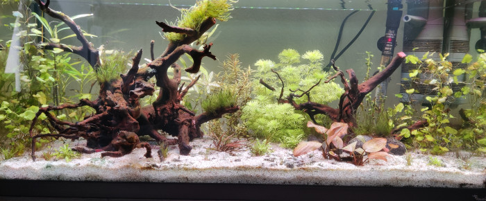 aquarium Aquarium 1 , de Graffitti