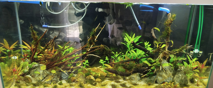 aquarium Aquasie , de Fla34070