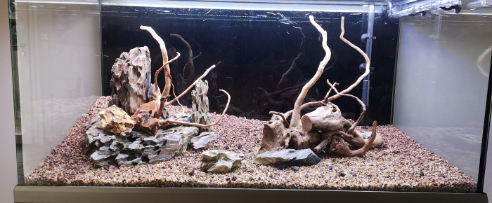 aquarium Mon premier , de mactouch