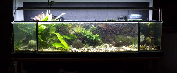 aquarium TRIPTYQUE , de MarleneMLX