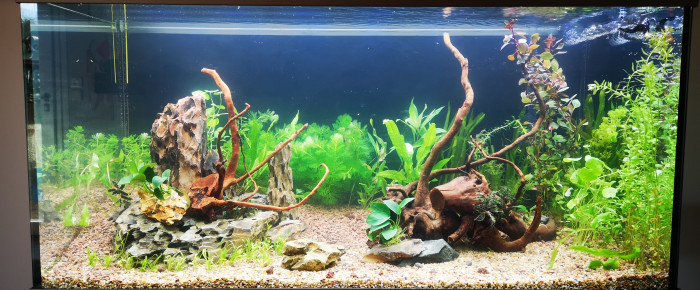 aquarium Mon premier , de mactouch