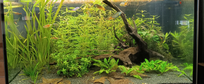 aquarium INCPIRIA 330 , de Lorenz83