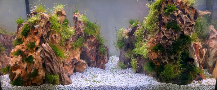 aquarium montain scape en Oko Stones.  70 litres , de mikey