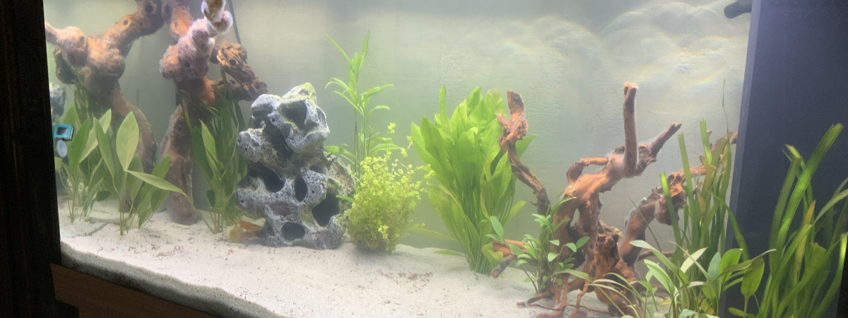 aquarium Aquarium salon 300l