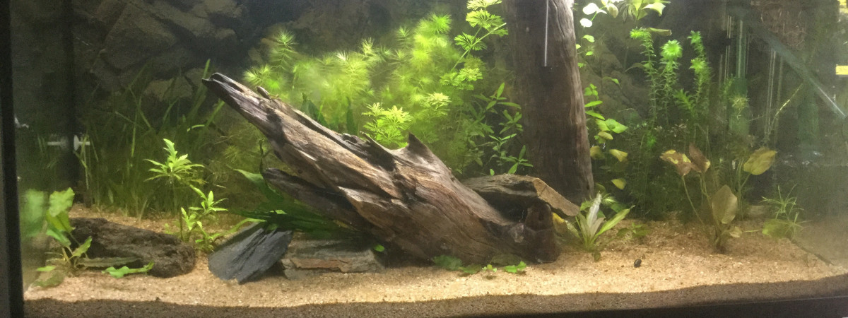 aquarium AquaWoods