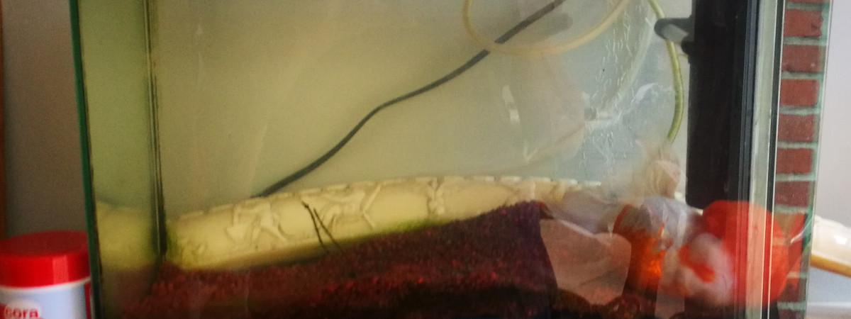aquarium INWA 40