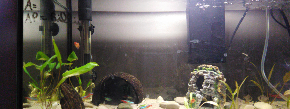 aquarium Mon 49L