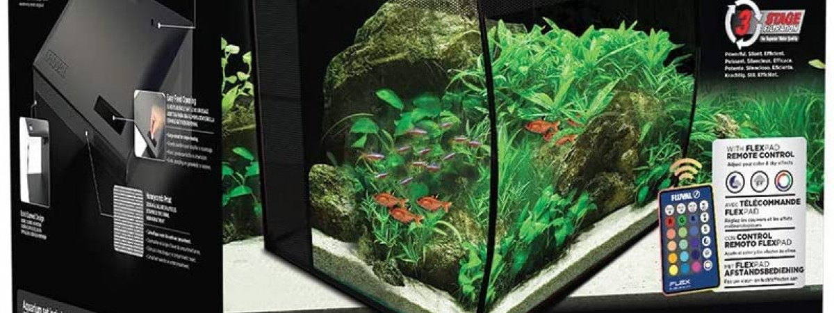 aquarium Aminium