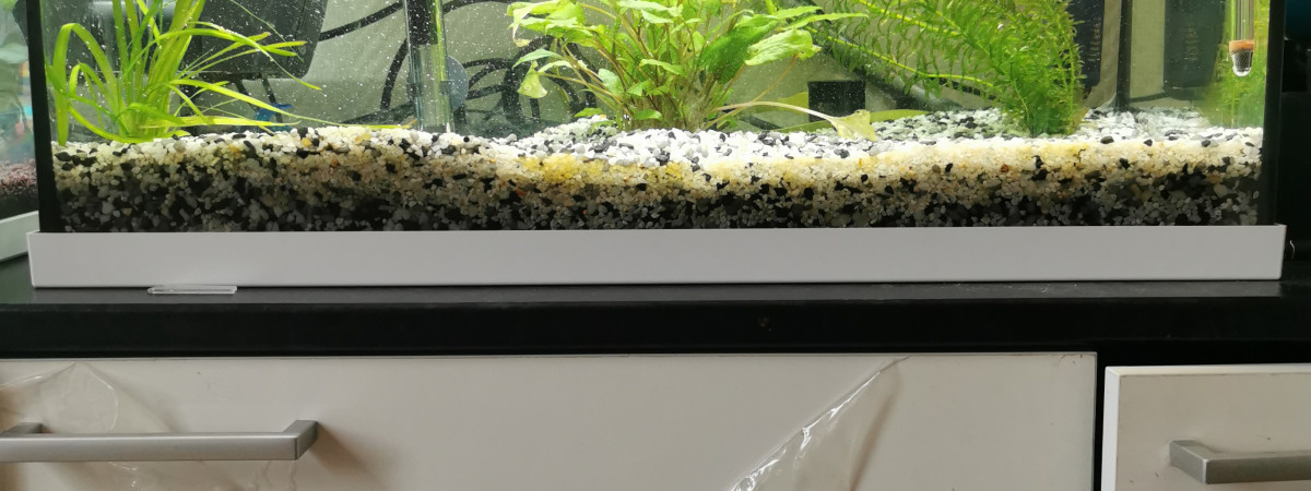 aquarium 55l