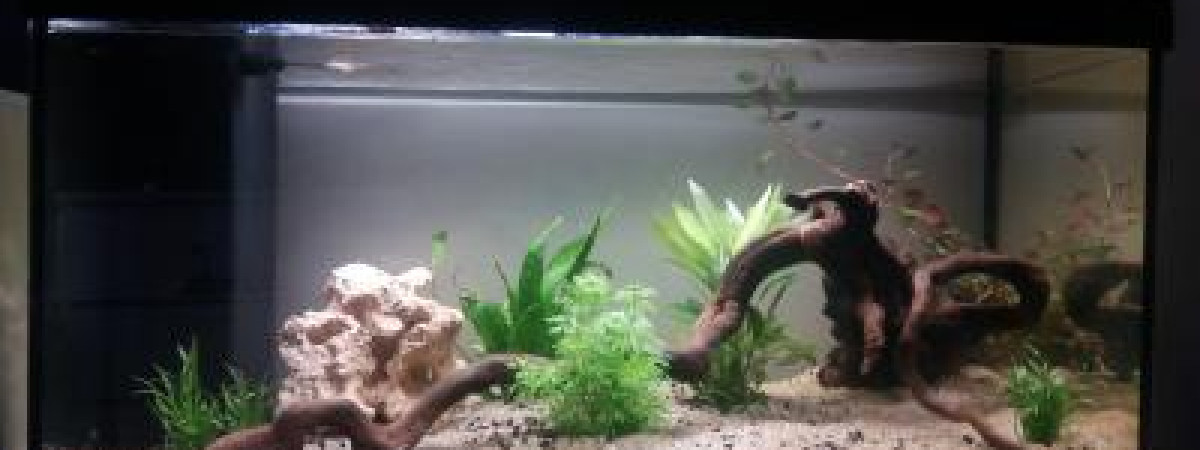 aquarium Aquatlantis