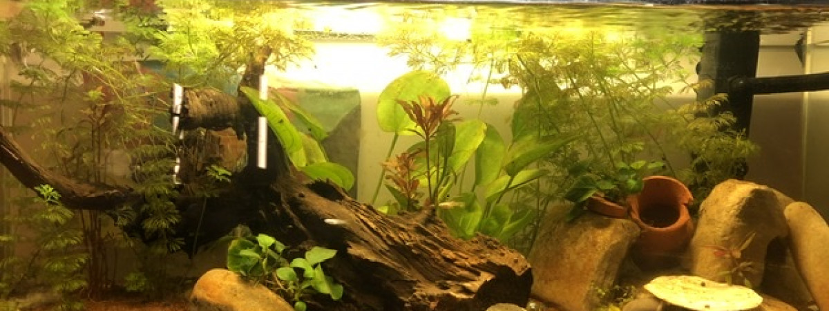 aquarium AquaLuna