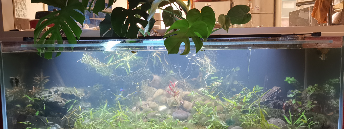 aquarium Aquarium 400L
