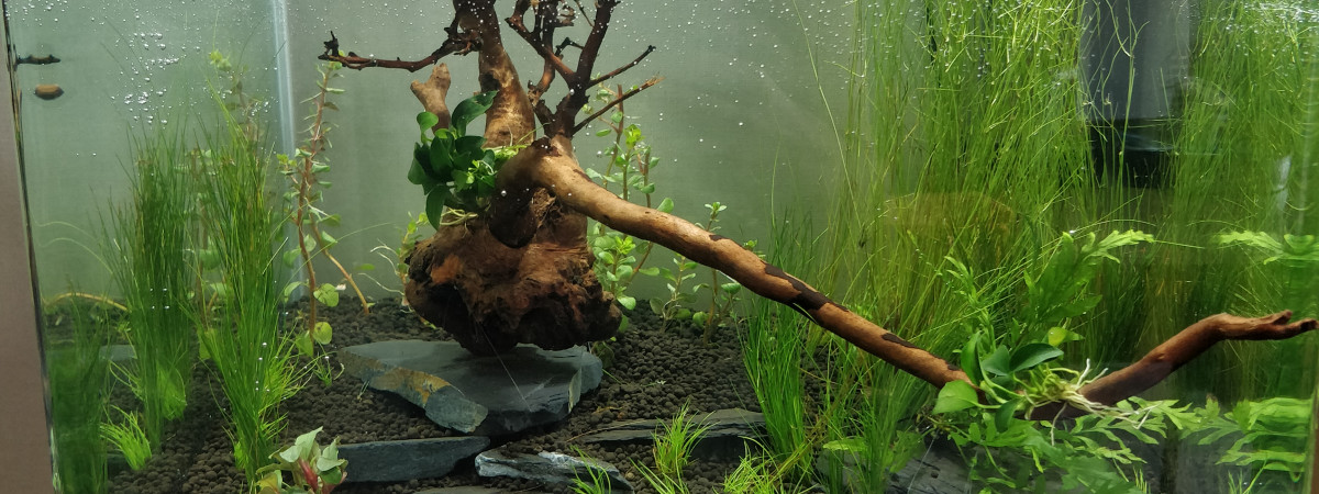 aquarium Nano Cube Dennerle 60l