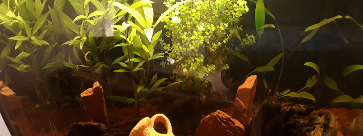 aquarium FLUVAL 57 litres
