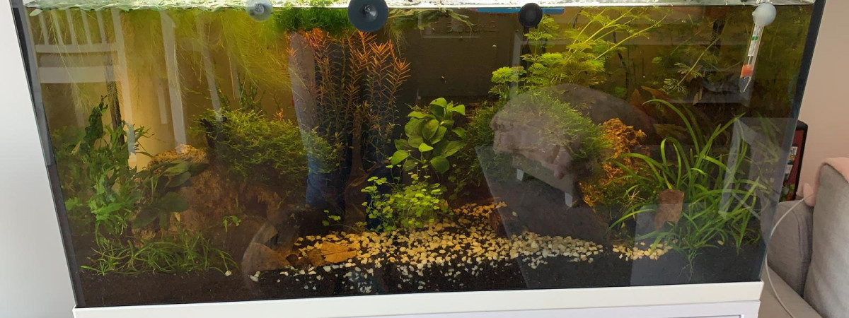 aquarium Num1