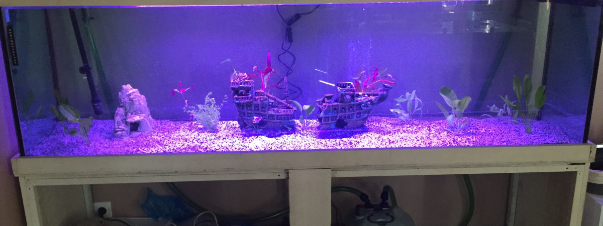 aquarium Javernaud