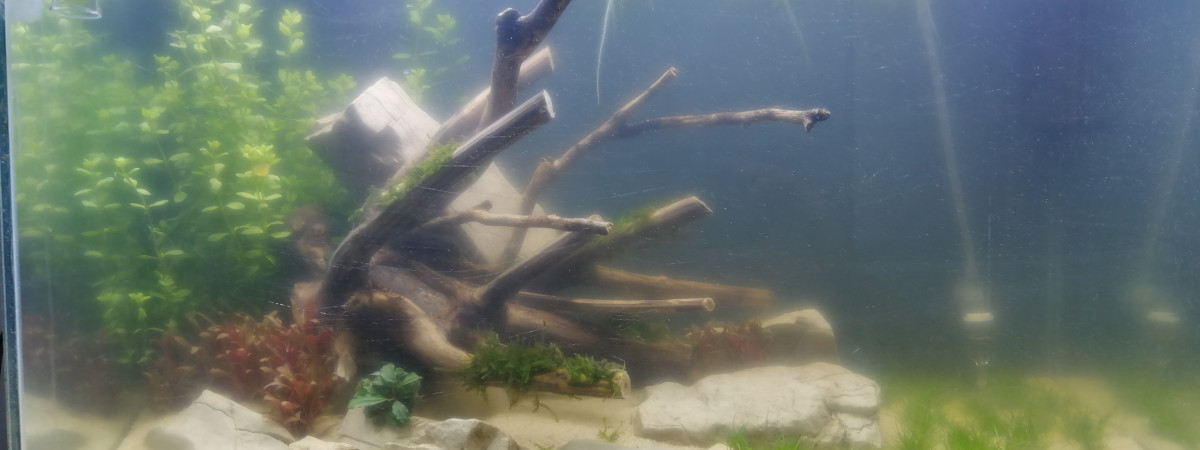 aquarium 60l oase