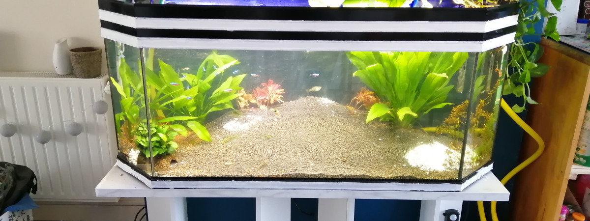 aquarium sallon
