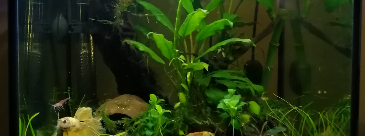 aquarium Seapora 7.5