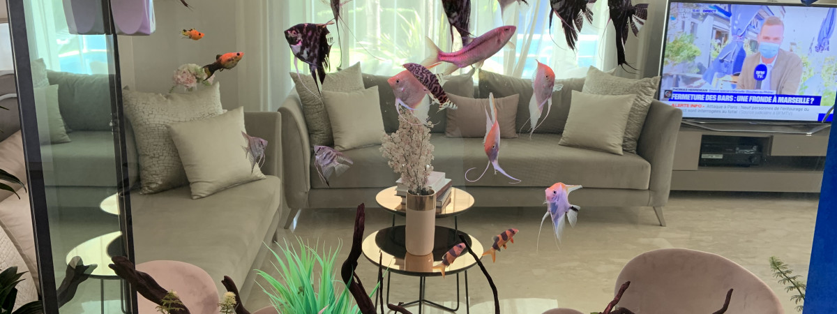 aquarium YSLAquarium