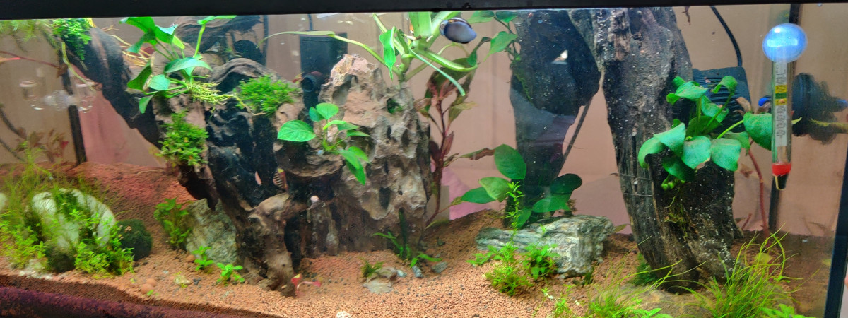 aquarium Ithaquia