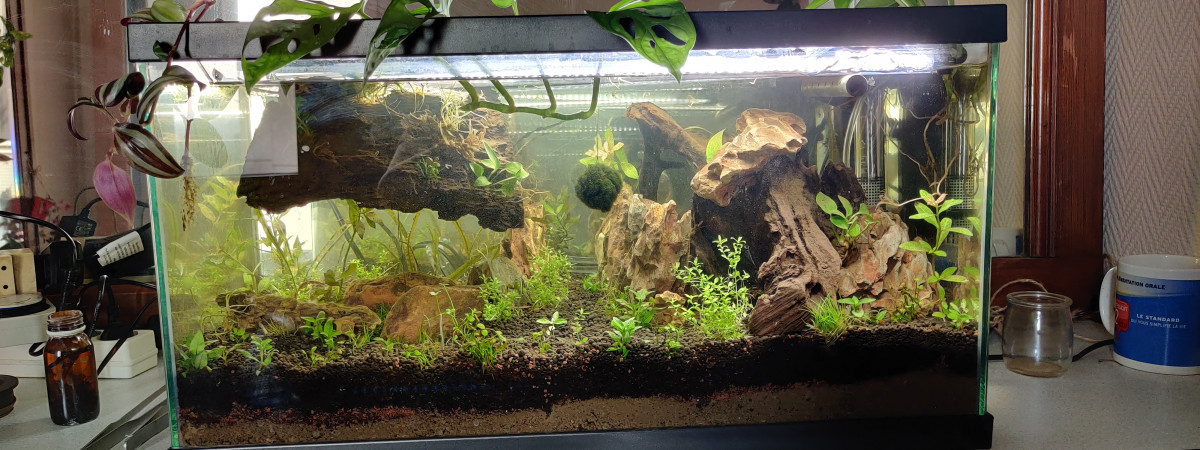 aquarium Nausicaa