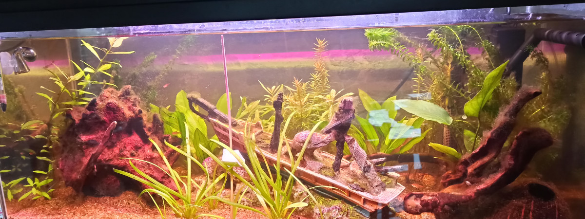 aquarium Premier Aqua 80L