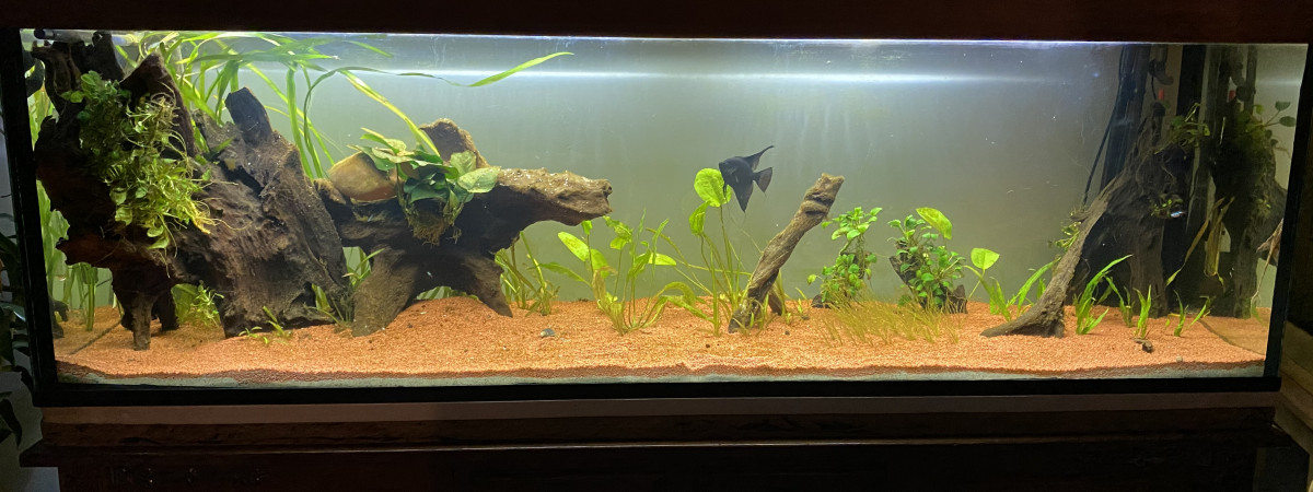 aquarium 600 L