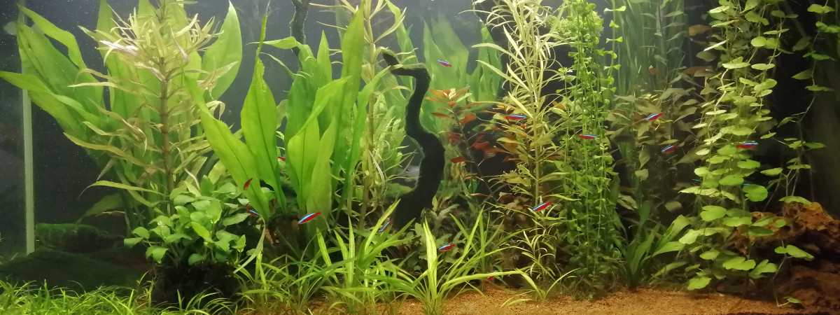 aquarium AquaBox