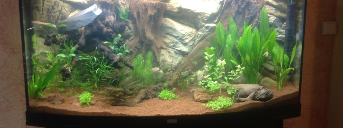 aquarium Juwel vision 260