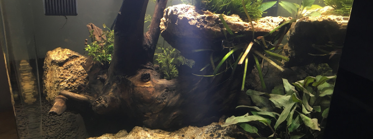 aquarium Preums