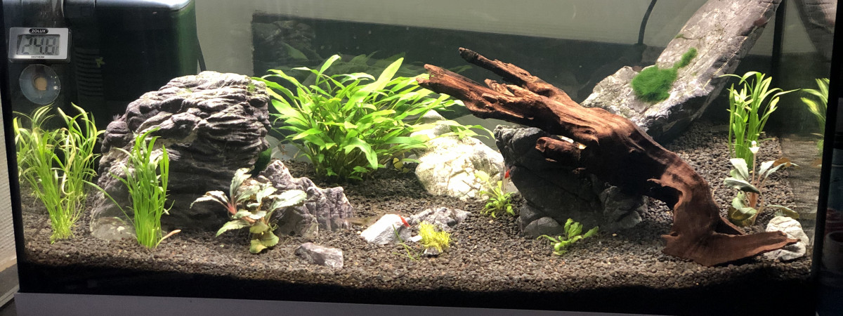 aquarium Aquarium 1