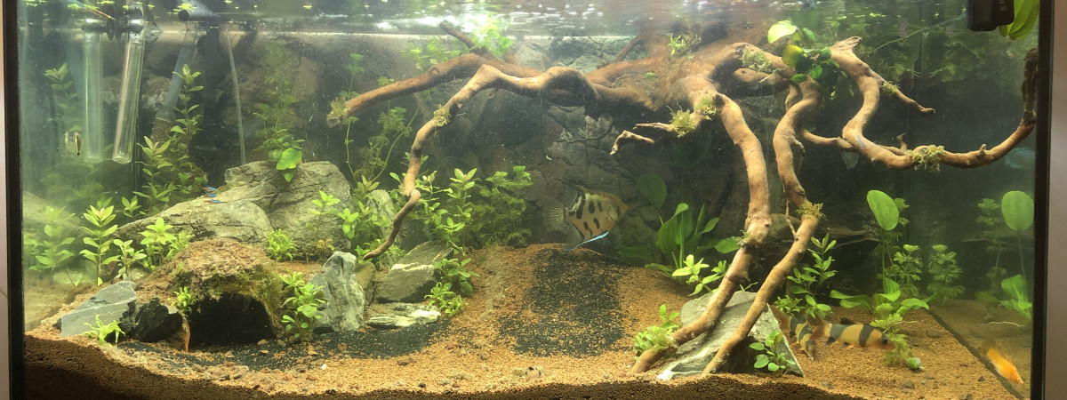 aquarium AquaLuna2