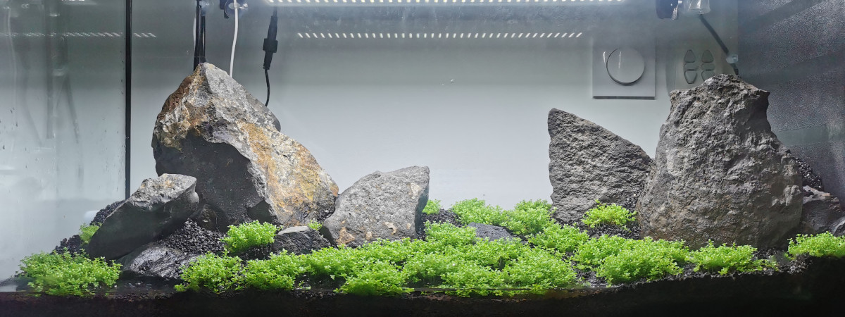 aquarium Julien