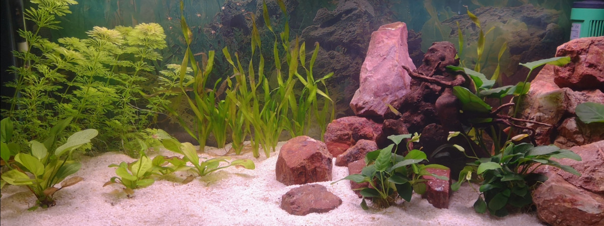 aquarium bac 200l