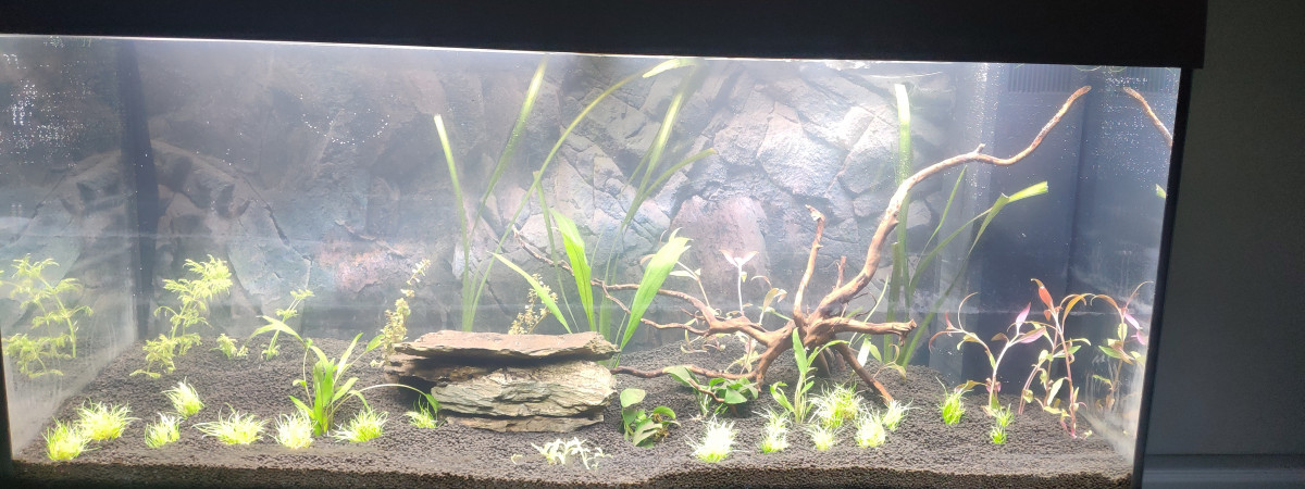 aquarium Juwel rio 180